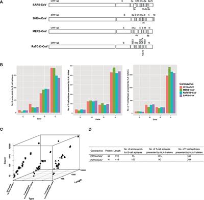 COVIEdb: A Database for Potential Immune Epitopes of Coronaviruses